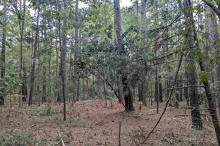 1236 Newberry Rd, Winnsboro, SC 29180 - Photo 19