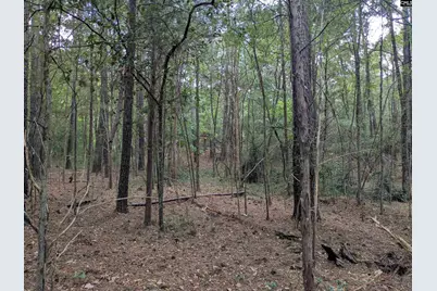 1236 Newberry Road, Winnsboro, SC 29180 - Photo 21