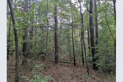 1236 Newberry Road, Winnsboro, SC 29180 - Photo 23