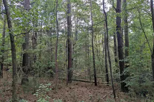 1236 Newberry Rd, Winnsboro, SC 29180 - Photo 23