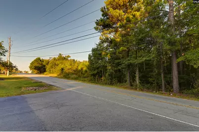 1013 Lykes Lane, Irmo, SC 29063 - Photo 15