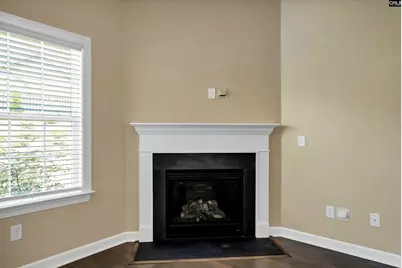 3006 Chilmark Drive, Chapin, SC 29036 - Photo 15