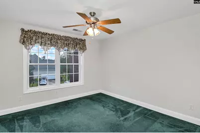 103 Harbors Mist Drive, Chapin, SC 29036 - Photo 41