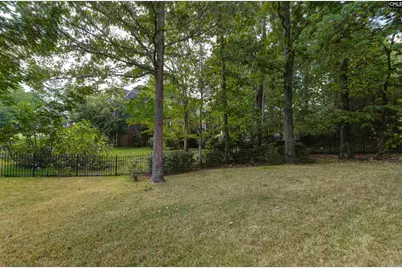 103 Harbors Mist Drive, Chapin, SC 29036 - Photo 59