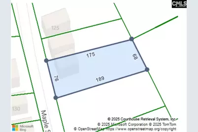 129 Maple Streets, Winnsboro, SC 29180 - Photo 3