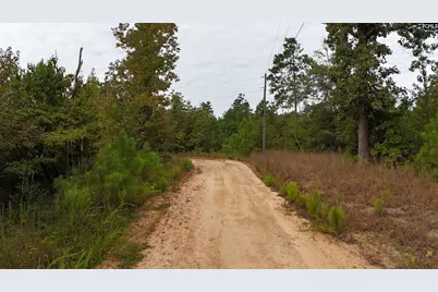 1029 June Berry Road, Camden, SC 29020 - Photo 7