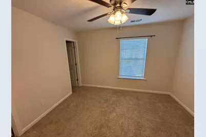 258 Gum Swamp Trail, West Columbia, SC 29169 - Photo 15