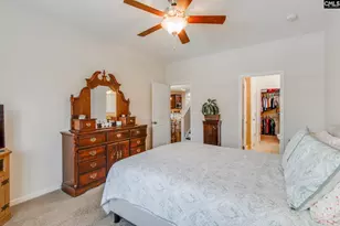 343 Amalfi Dr, Chapin, SC 29036 - Photo 17