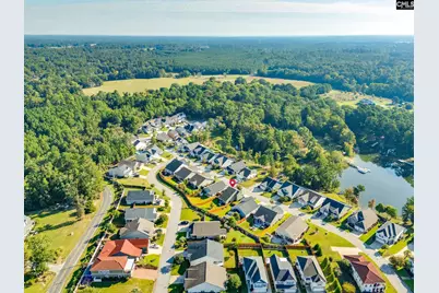 343 Amalfi Drive, Chapin, SC 29036 - Photo 37