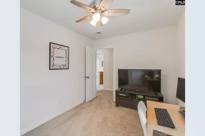 343 Amalfi Drive, Chapin, SC 29036 - Photo 25