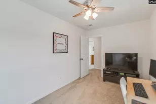 343 Amalfi Dr, Chapin, SC 29036 - Photo 25