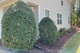 408 Indigo Ridge Dr, Columbia, SC 29229 - Photo 31