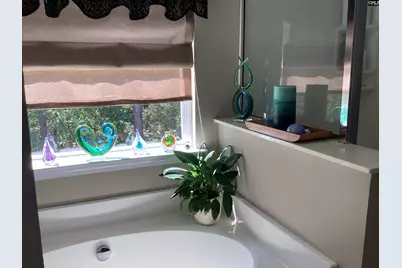 408 Indigo Ridge Drive, Columbia, SC 29229 - Photo 19