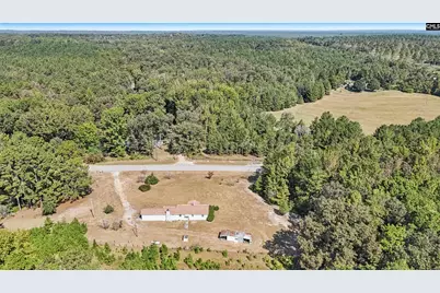 7166 Wagener Road, Wagener, SC 29164 - Photo 33