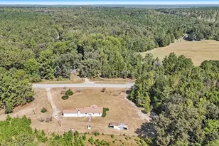 7166 Wagener Rd, Wagener, SC 29164 - Photo 33