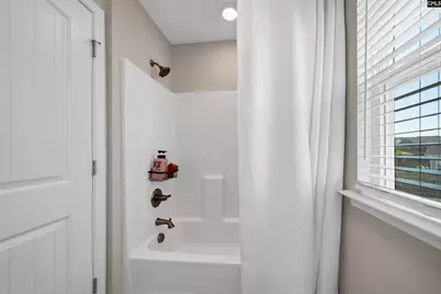 515 Malachite Lane, Chapin, SC 29036 - Photo 41