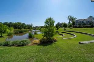 515 Malachite Ln, Chapin, SC 29036 - Photo 61
