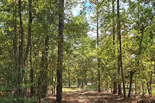 1646 Baughman Rd, Columbia, SC 29045 - Photo 3