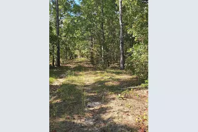 1646 Baughman Road, Columbia, SC 29045 - Photo 5