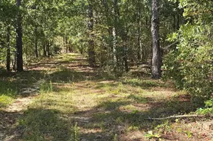 1646 Baughman Rd, Columbia, SC 29045 - Photo 5