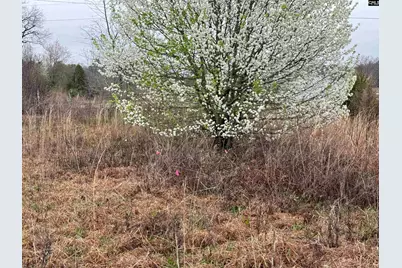 920 Whetstone Road, Swansea, SC 29160 - Photo 7