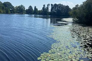 200 Leaning Pine Trail, Lexington, SC 29072 - Photo 11