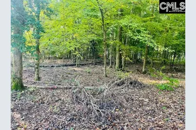 Lands End Lane #212, Prosperity, SC 29127 - Photo 9