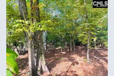 Lands End Lane #212, Prosperity, SC 29127 - Photo 5