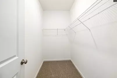 911 Blenheim Way, Gilbert, SC 29054 - Photo 15