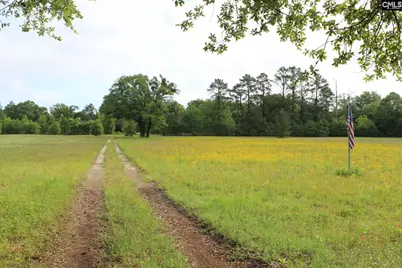 2901 Bethune Road, Bethune, SC 29009 - Photo 33