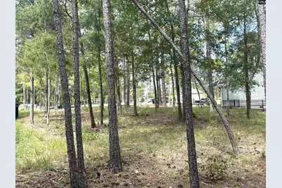 569 Misty Banks Drive, Chapin, SC 29036 - Photo 7