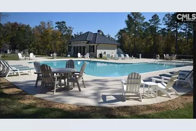 569 Misty Banks Drive, Chapin, SC 29036 - Photo 11