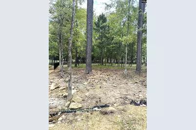 569 Misty Banks Drive, Chapin, SC 29036 - Photo 9