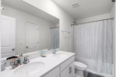 409 Stone Hollow Drive, Irmo, SC 29063 - Photo 29