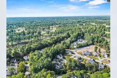 96 Dogwood Cottage Court, Blythewood, SC 29016 - Photo 39