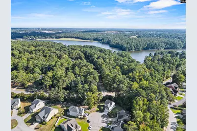 96 Dogwood Cottage Court, Blythewood, SC 29016 - Photo 41