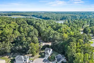 96 Dogwood Cottage Ct, Blythewood, SC 29016 - Photo 43