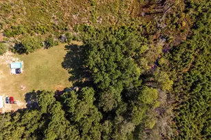 4520 Huggins Rd, Lake City, SC 29560 - Photo 45