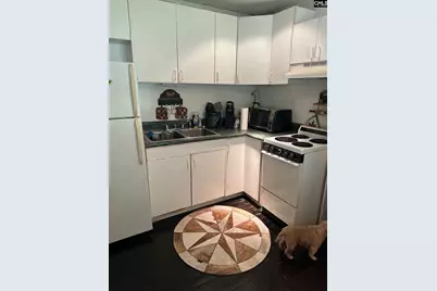 650 Old Barnwell Road, West Columbia, SC 29170 - Photo 11