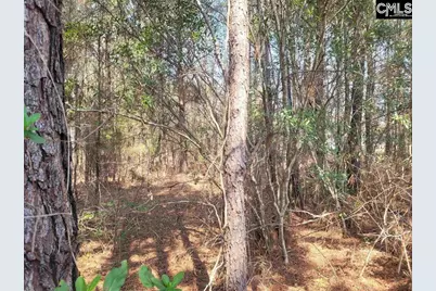 239 House Road, Eastover, SC 29044 - Photo 5