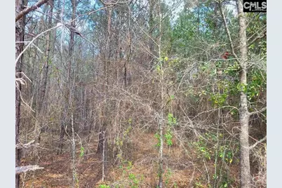 239 House Road, Eastover, SC 29044 - Photo 3