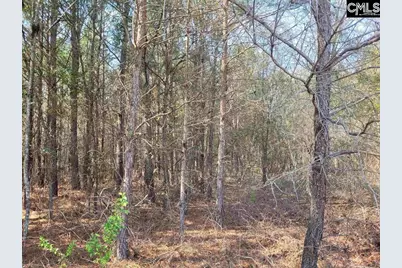 239 House Road, Eastover, SC 29044 - Photo 7