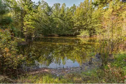 138 Mount Moriah Road, Swansea, SC 29160 - Photo 5