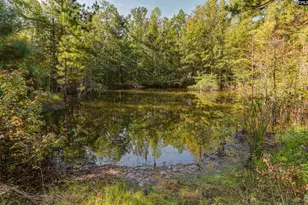 138 Mt Moriah Rd, Swansea, SC 29160 - Photo 5