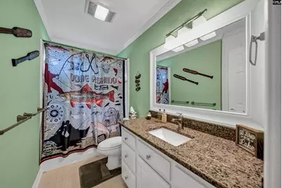 218 Lake Vista Drive, Chapin, SC 29036 - Photo 45