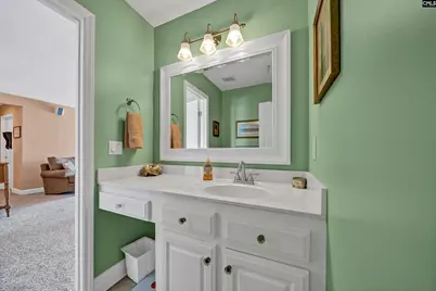 218 Lake Vista Drive, Chapin, SC 29036 - Photo 57