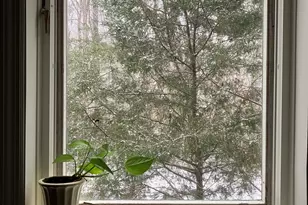 1009 Oak Leaf Cir, Blythewood, SC 29016 - Photo 33