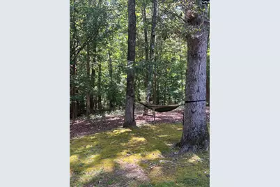 1009 Oakleaf Circle, Blythewood, SC 29016 - Photo 5