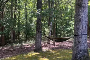 1009 Oak Leaf Cir, Blythewood, SC 29016 - Photo 5