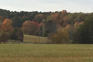 1009 Oak Leaf Cir, Blythewood, SC 29016 - Photo 41